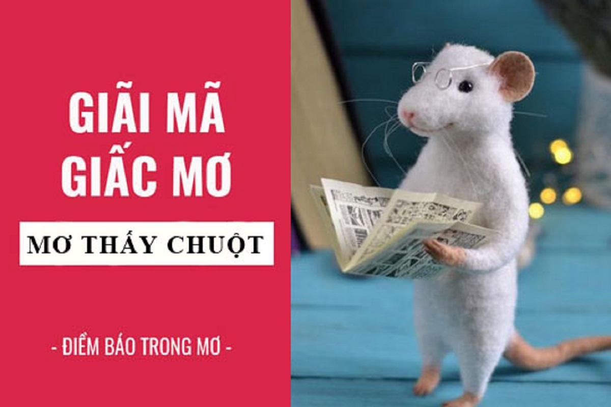 Nằm mơ thấy chuột là điềm gì? Những con số may mắn nên thử